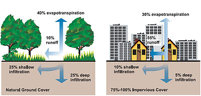 Analysis reports for a water drainage and infiltration