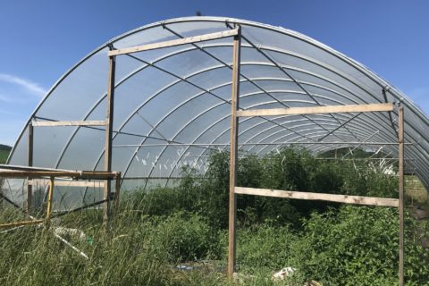 renovation of greenhouse